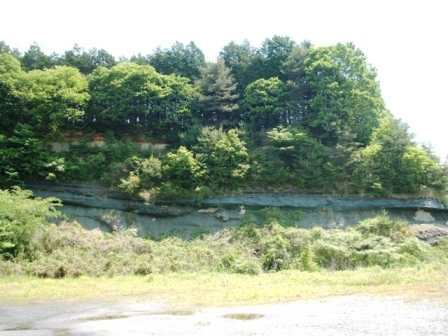  岣Įն